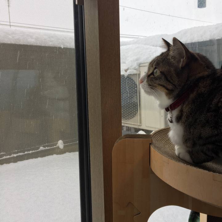 1e082673 0fec 4698 84e7 b631b68a2974 1674689600491