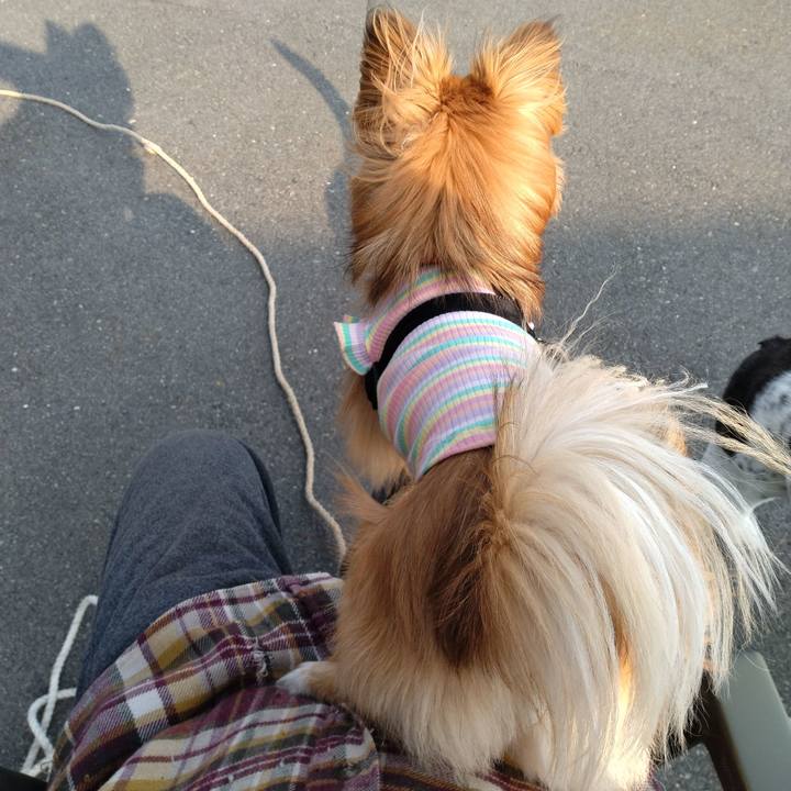 1e086d11 d5c8 423f af04 4b2023c7fb53 1744357114892