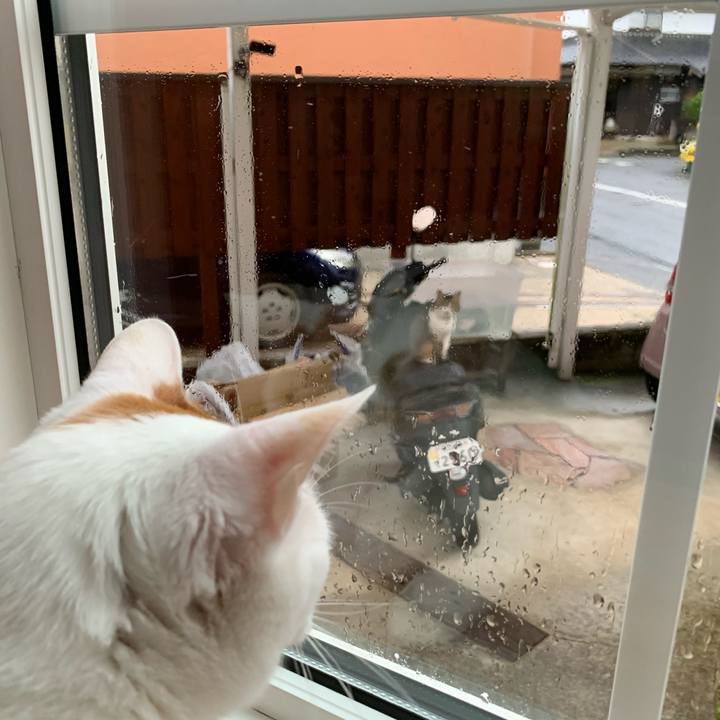 1e0876df 3967 4525 80ac 132e3ece737e 1616996154654