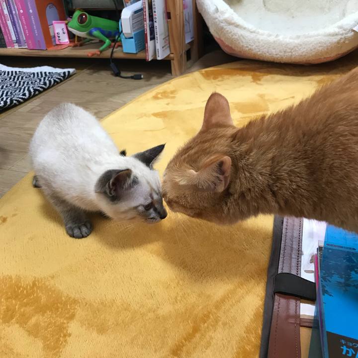 1e088bb2 04f3 45ed b826 7b0240fef1e5 1530779906119