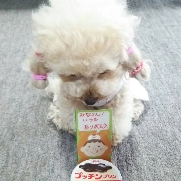 1e088e40 1ab1 4dab b086 ec267bd68b60 1530105441804