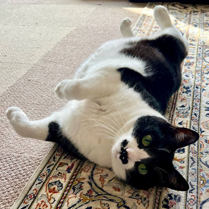 1e0896c8 3db9 4d36 b8a8 cf75246f789e 1773700145180