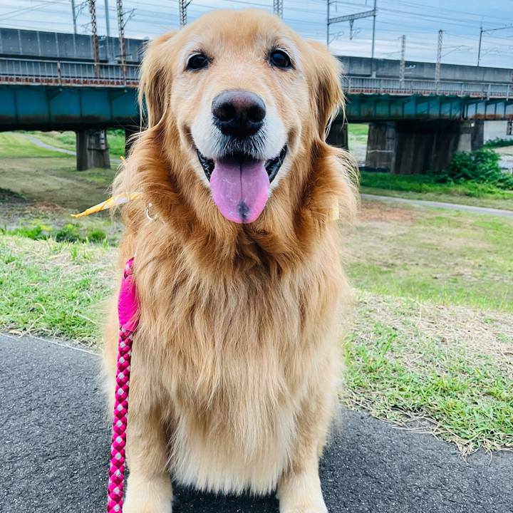 1e0899d2 da81 48f3 8583 78957b9a8b05 1716168022315