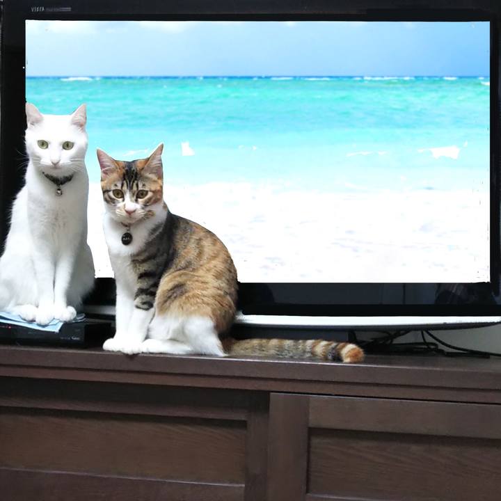 1e08ba1e 45c7 40c9 bf37 5671d63084d1 1678577660154