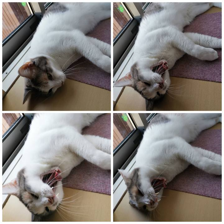 1e08d889 664d 4151 83f3 be2c744d8955 1628420408186