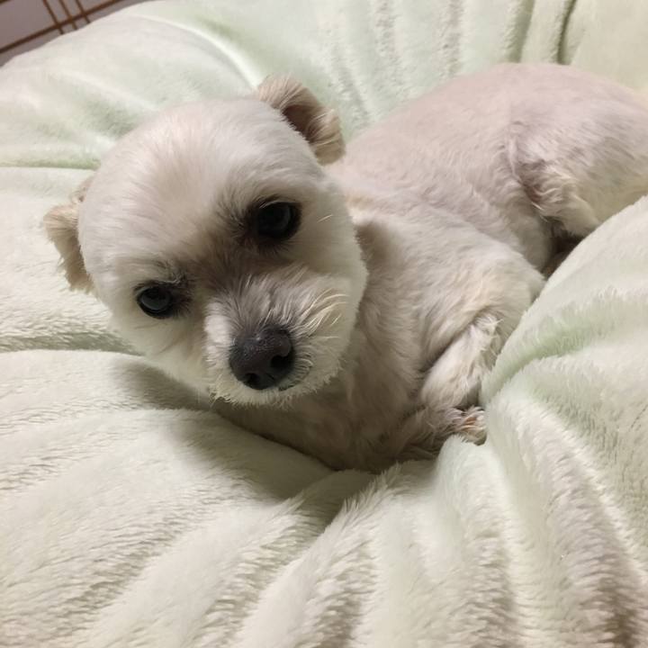 1e091c26 9e80 40a8 a966 1d8c5b9e0df8 1555495325711