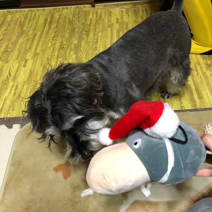 1e093787 39d0 47c8 9e81 ed7d6bb690b7 1545618716586