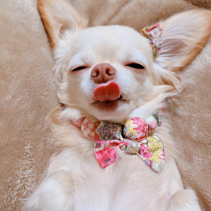 1e093ae0 4f18 44d6 a716 4110b412b751 1668761592725