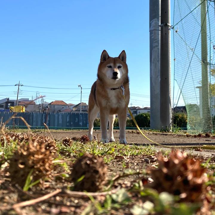 1e093e15 34c3 4c42 8541 23ce8abf7432 1639541572638