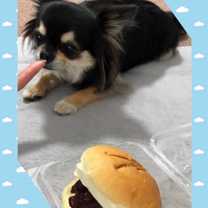 1e094e40 9b3d 4112 8184 100c56b28d9a 1593125305049