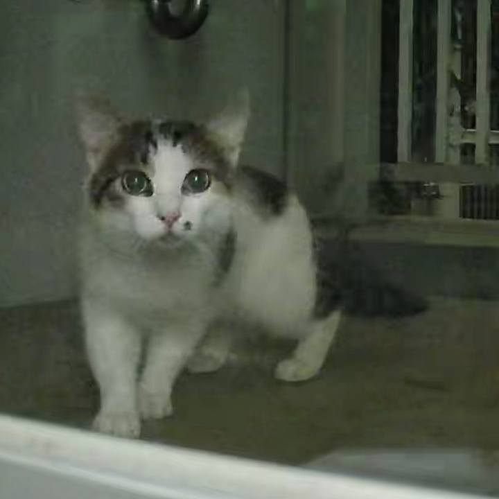 1e0984bf 4653 46a5 9648 9ae69166033b 1722256861801