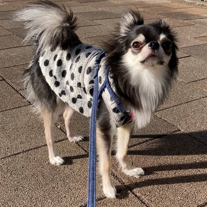 1e098586 e71a 4c0b b741 474b020f2eab 1638080305201