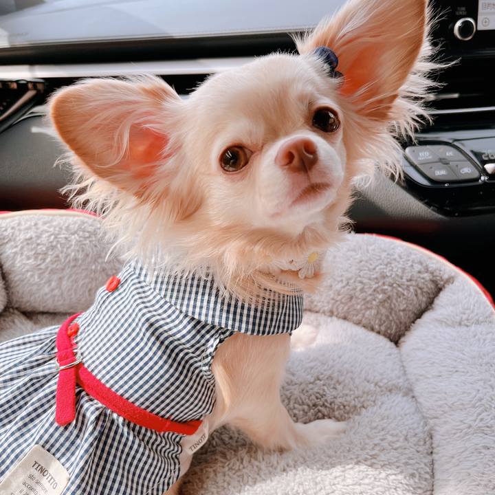 1e099147 eff3 458b aff9 3438133e7d0e 1663654465847