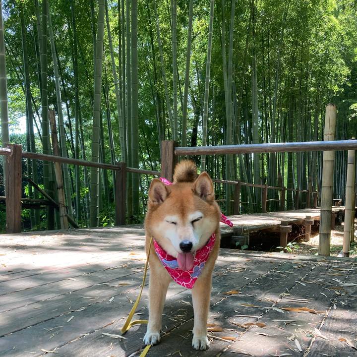 1e0993d2 7c71 45d3 9b99 d296508c4cf6 1656563170290