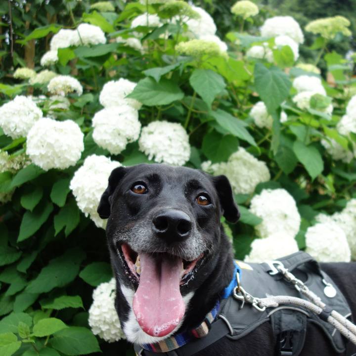 1e09cff5 8814 46d9 b9e4 f7ccd93379a5 1655426281272