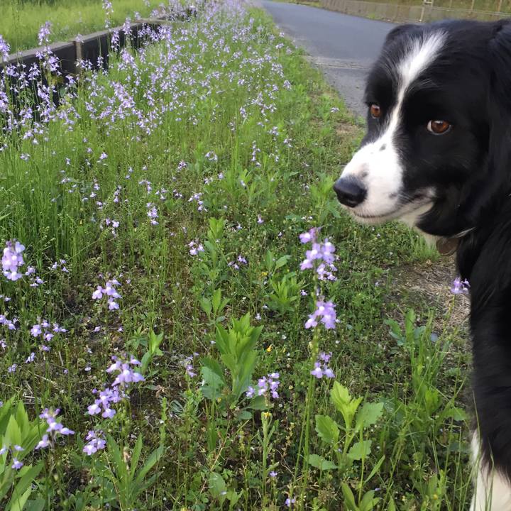 1e0a26c1 1ca0 422d 801c 0b7c4252c9ef 1556359444097