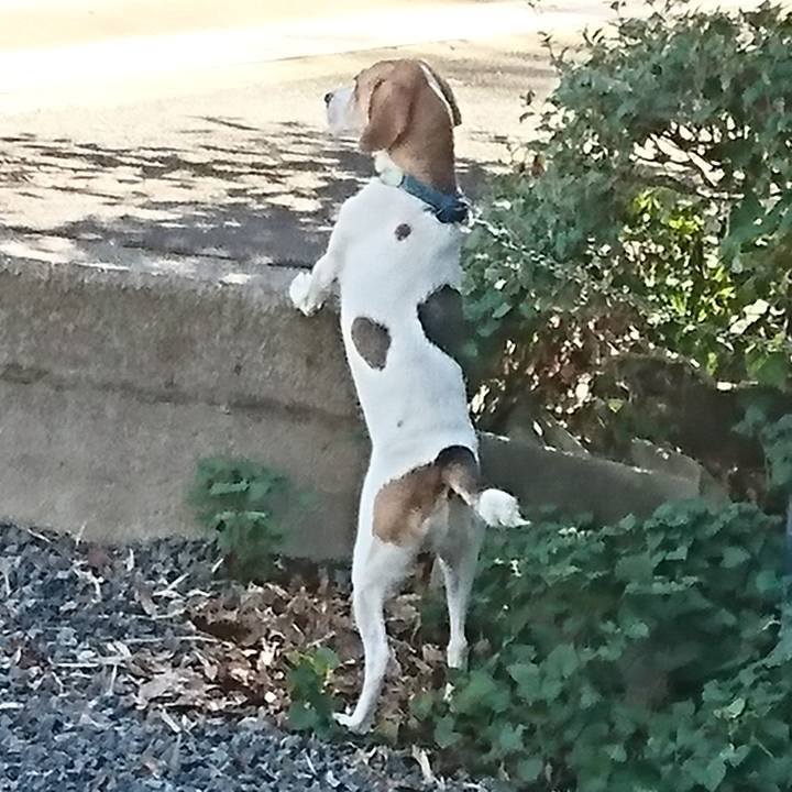 1e0a3eb9 59d4 44d1 9dec 31d2814033f2 1566777165605