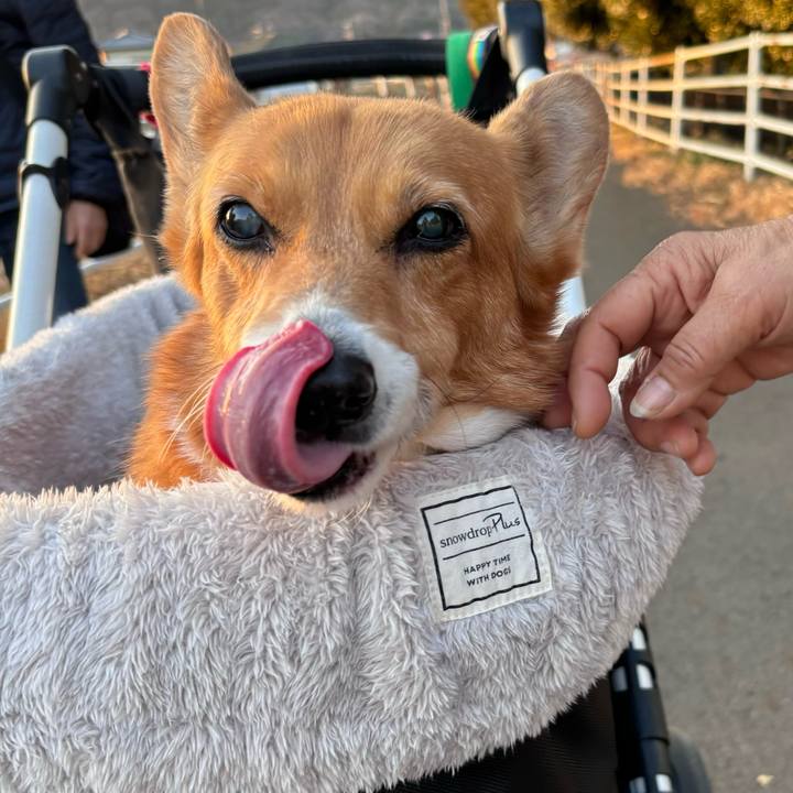 1e0a4bc3 fdf7 4285 8bed a86255ba5671 1739609974157