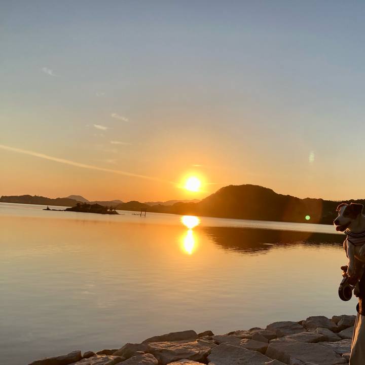 1e0a5781 0cdb 4e28 99b1 497dae354fd3 1753928504793