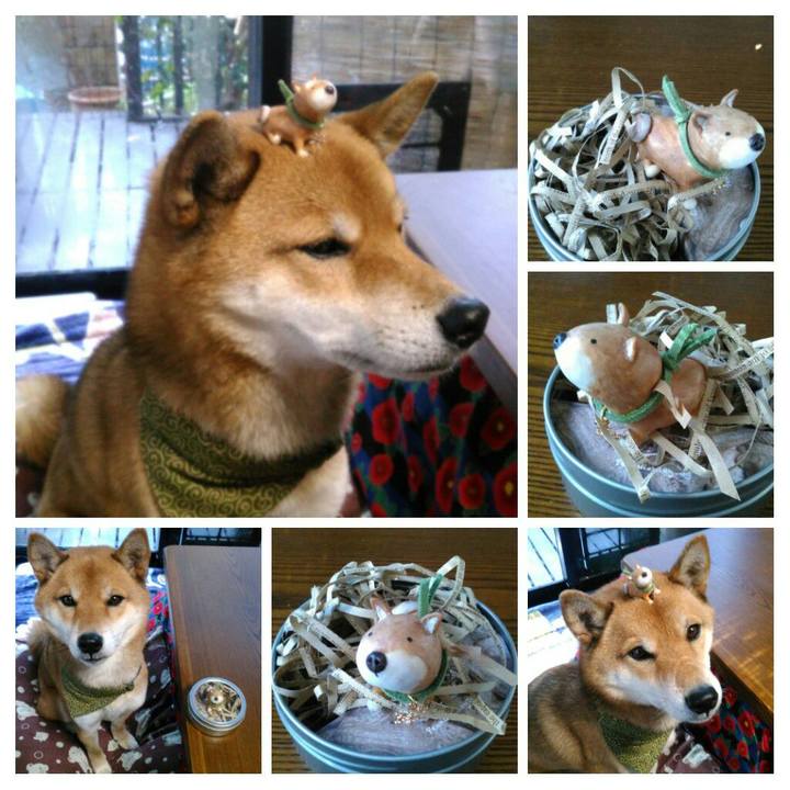 1e0a6c29 3dc6 406e 9764 b8710e4e85bc 1513044207092