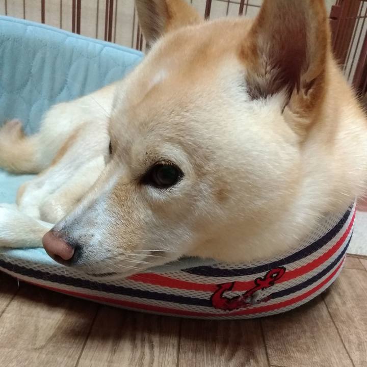 1e0a8472 48dd 4eed 87f4 9c06920ee333 1570089739626