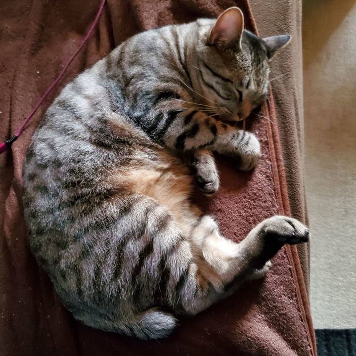 1e0a84b0 e430 4355 997d 2eb6a4153f01 1716515161708