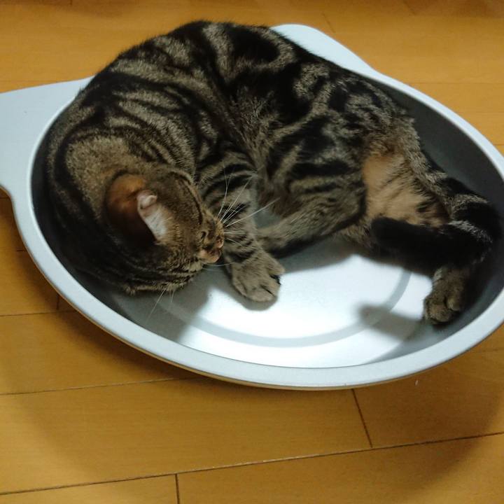 1e0ab9db 50a3 4070 a682 449baa973731 1535511277483