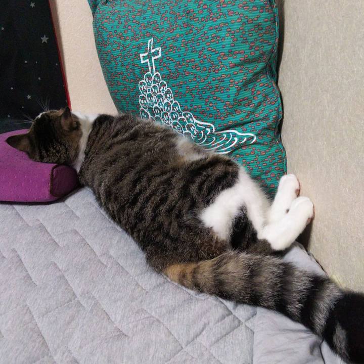 1e0abe49 bd06 4f8e ab4e 0fe8b904d989 1632134503042