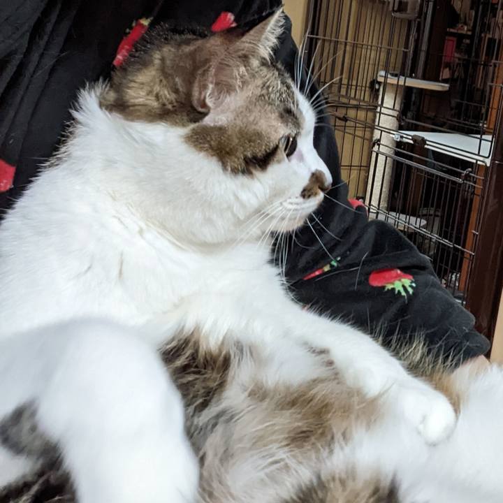 1e0ace8f 5d72 436b 89e9 72217e3f206c 1669067831607