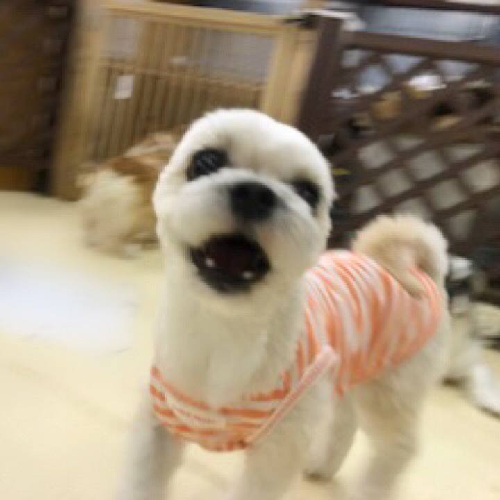 1e0b19df 62ee 4cb1 b365 a72f6a9b7e03 1529493270651