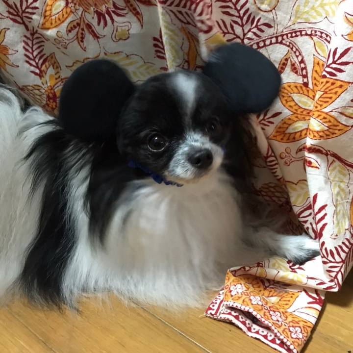 1e0b20e2 13bc 47ad a608 3a8ca7736d17 1572161282686