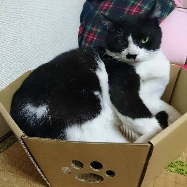 1e0b5554 c1b0 45e9 b72d c520c60e48af 1559734423312