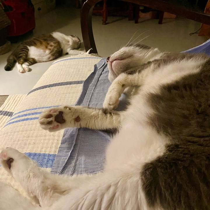 1e0b5f65 b573 40ed 8f51 28183c09e0cf 1757255576158