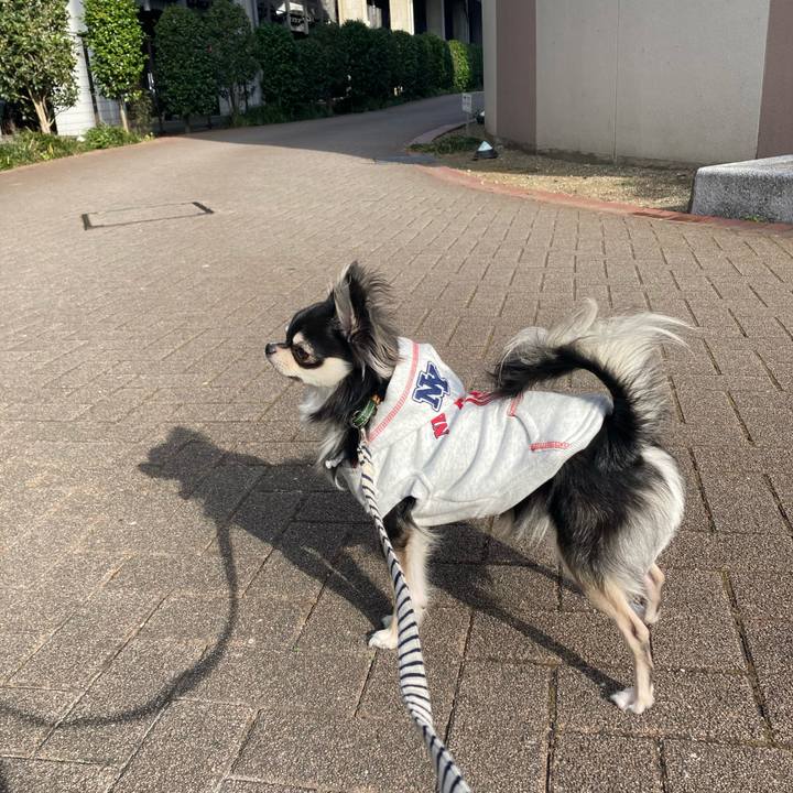 1e0b9cca a884 4259 a924 287b2c01d8c7 1607744506714