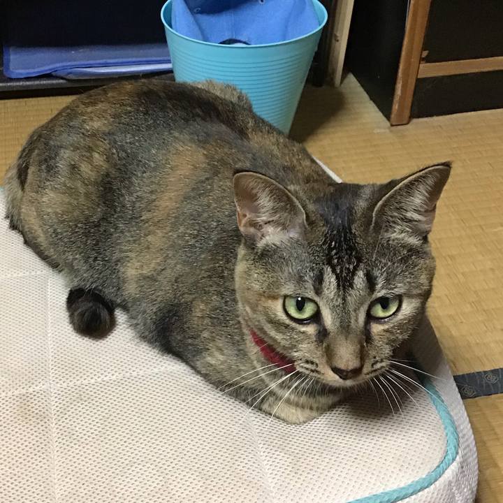 1e0ba688 0fab 43d8 bd23 7509646a3746 1599818199937