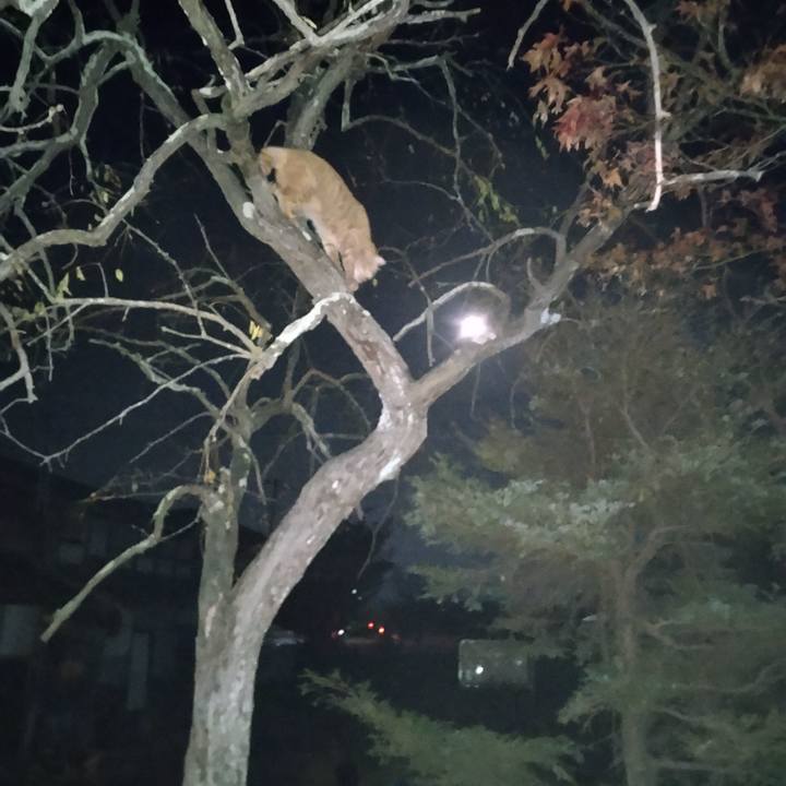 1e0ba9ba 3239 47f8 b096 a14188657076 1667988136511