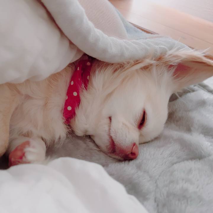 1e0bb71c c04f 44c1 9e37 f6a9d17aa0e2 1705644466844