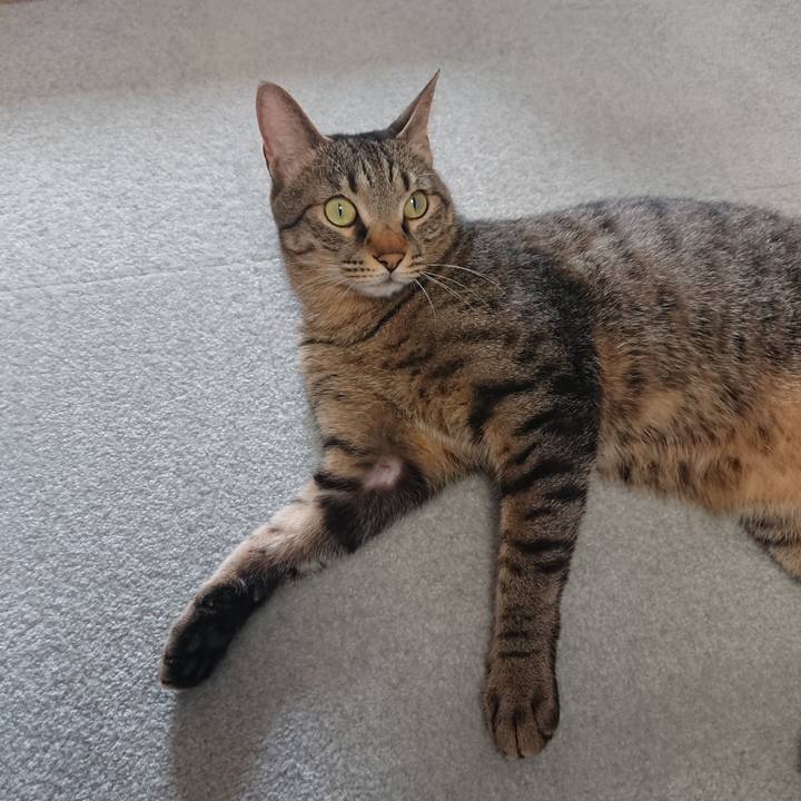 1e0bc764 ebf7 4a30 ba63 42fc3120578d 1525307476925