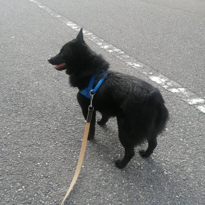 1e0bd29d e8e7 4b63 9bf3 a4d74d1589ee 1624829995002