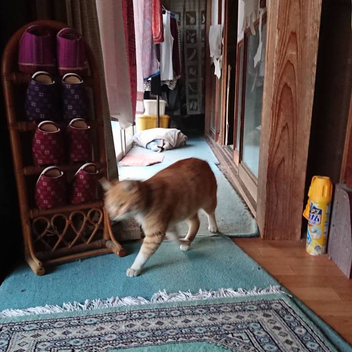 1e0be364 657d 4551 96ad 6432605f0903 1585129530320