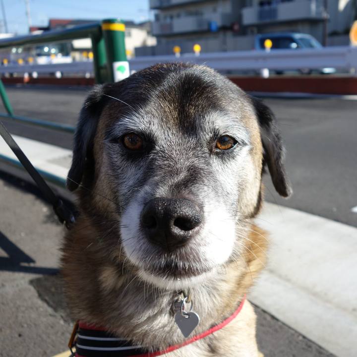 1e0c109e 6fa7 4cdf a657 4883c753c0b8 1750897438496