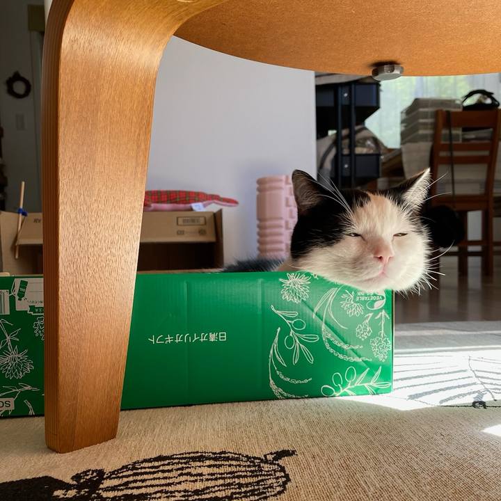 1e0c69c1 93d9 4106 855a b183ca2185ff 1760827345076