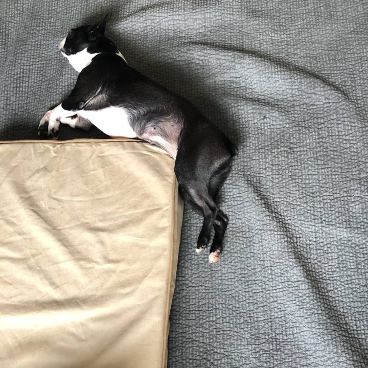 1e0c8439 6e98 486a 84cf 1a12336e8f12 1564462218998