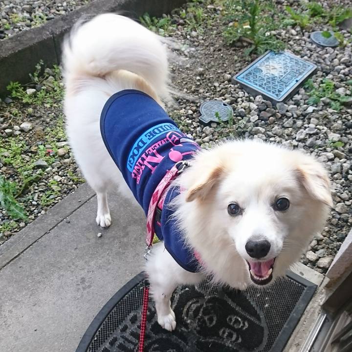 1e0cad25 1b21 4f58 9828 b8fb6c783e77 1509659505446