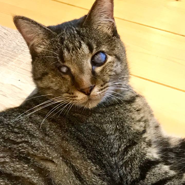 1e0cd112 a0e2 4dd7 b8cb 9efc3f87725a 1568015447320