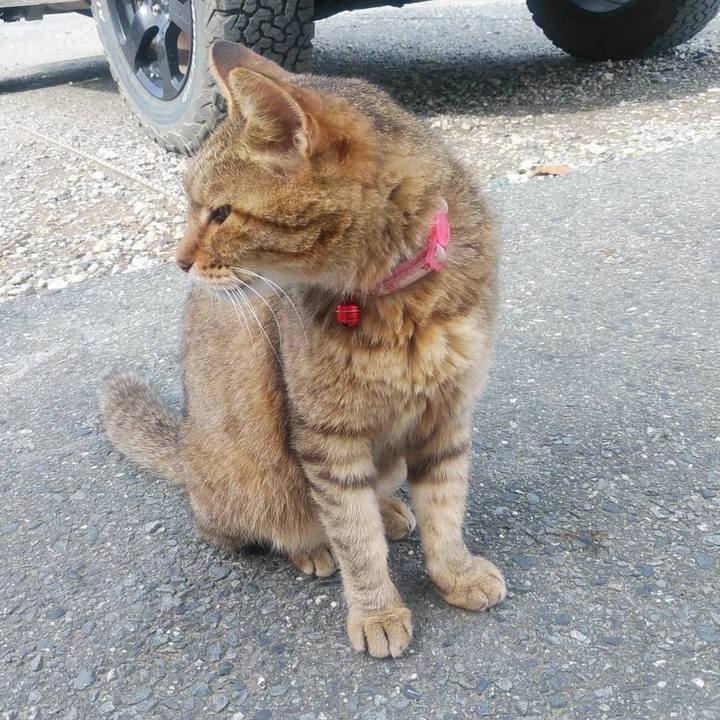 1e0cd8a0 2ff2 4619 8932 47e80e564cdf 1568939194066