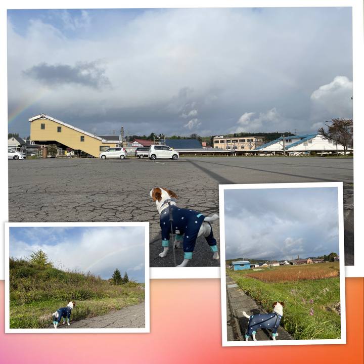 1e0ce394 7374 436d a654 cfdd882d9d1b 1634972166261