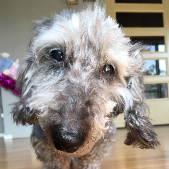 1e0ce8b1 a88a 4972 94c3 285b9641a510 1615428326992