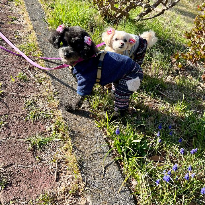 1e0d116f d683 4f62 b213 15107b4822db 1773481296169