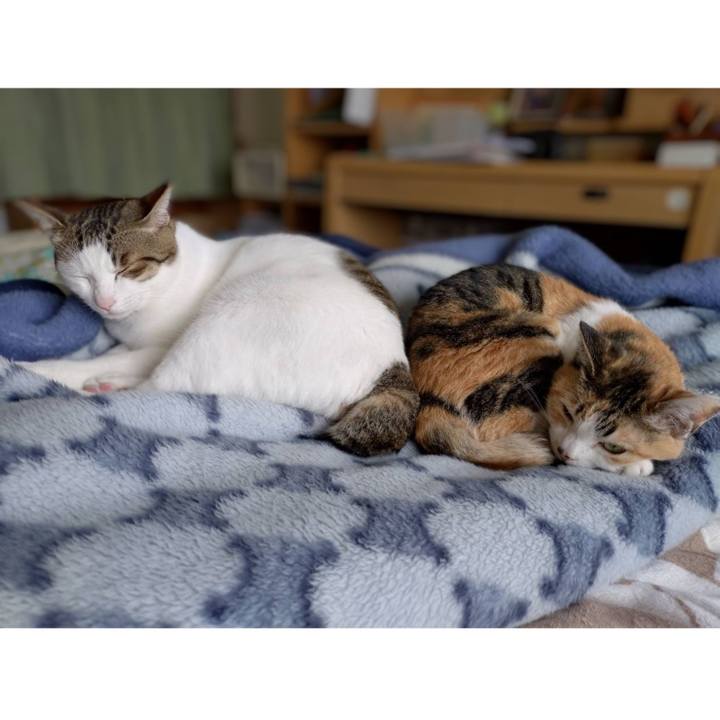 1e0d1213 be2f 4f8d 80ca ce9501996be9 1718359155432